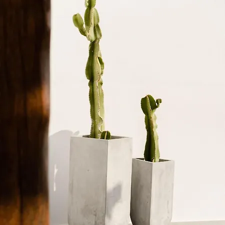 Vila Tranquilla - Seaview, Pool & Jacuzzi *