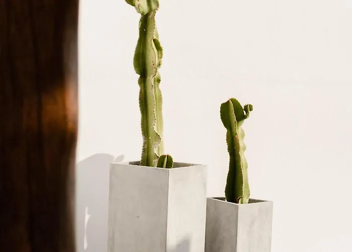 Villa Tranquilla - Seaview, Pool & Jacuzzi *